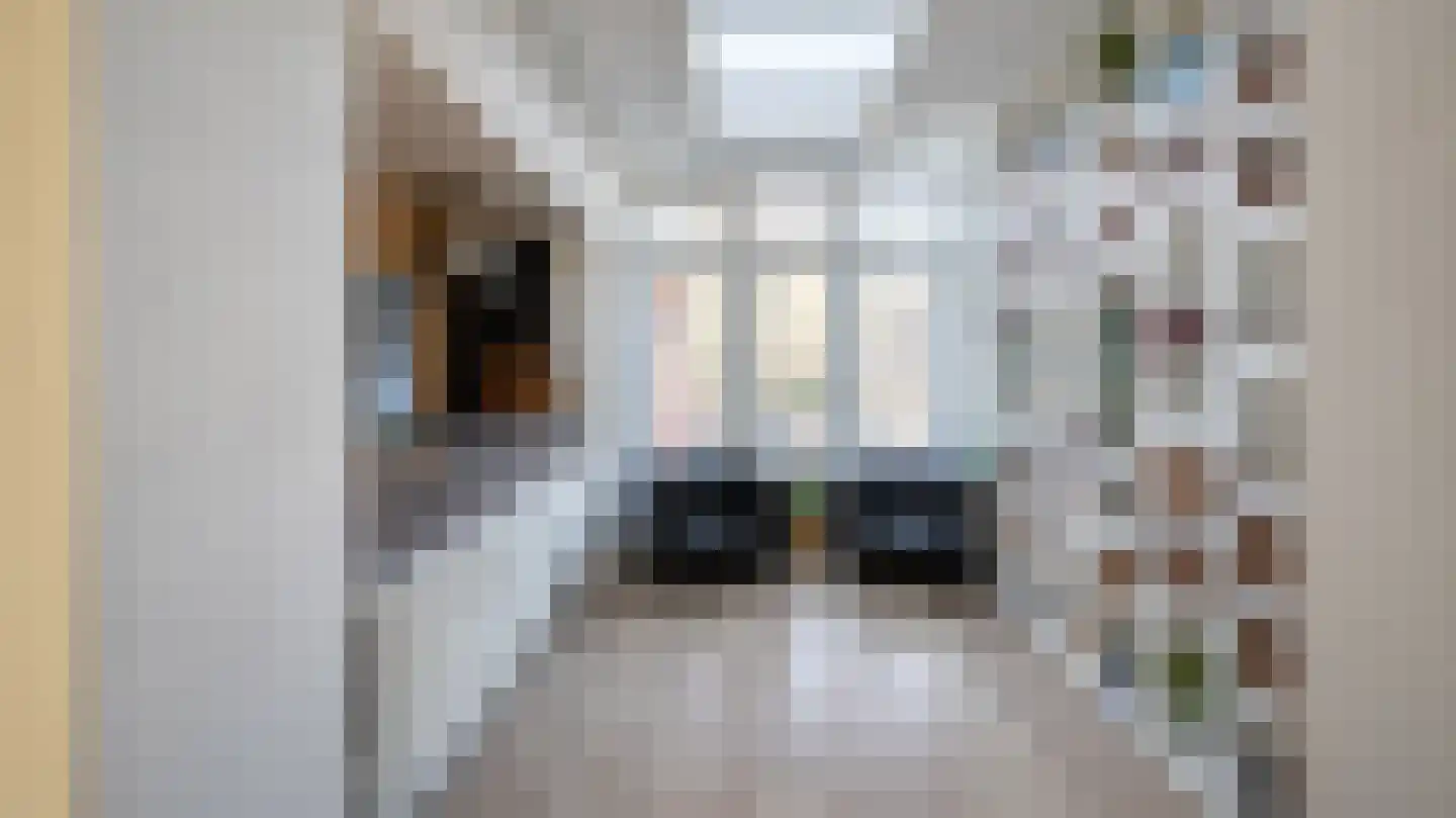 Rozenstraat 18 Almelo thumbnail 7