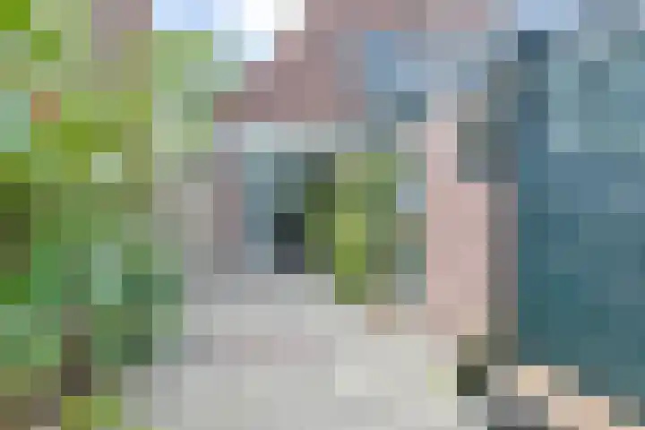 Rozenstraat 18 Alphen aan den Rijn thumbnail 39