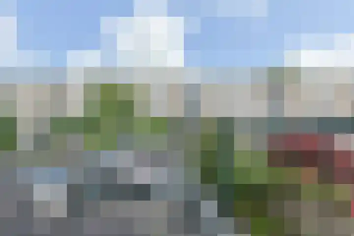 Rozenstraat 18 Alphen aan den Rijn thumbnail 48
