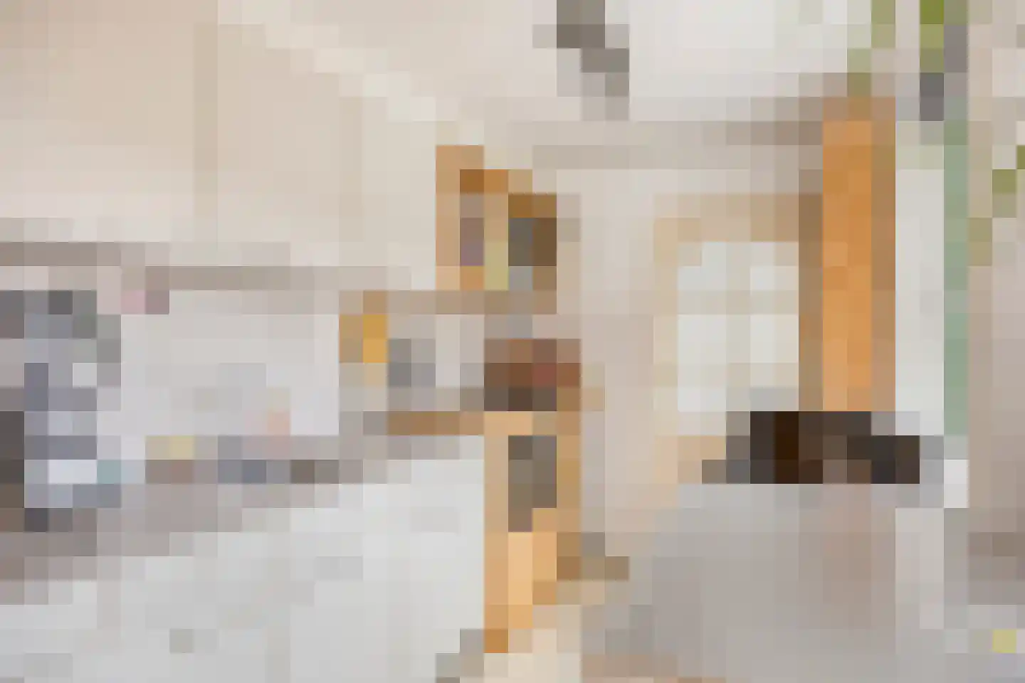 Rozenstraat 18 Koog aan de Zaan thumbnail 15