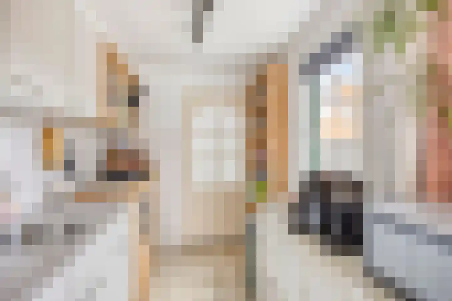 Rozenstraat 18 Koog aan de Zaan thumbnail 16