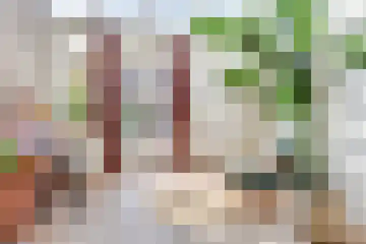 Rozenstraat 19 Alkmaar thumbnail 13