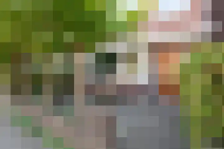 Rozenstraat 19 Alkmaar thumbnail 5