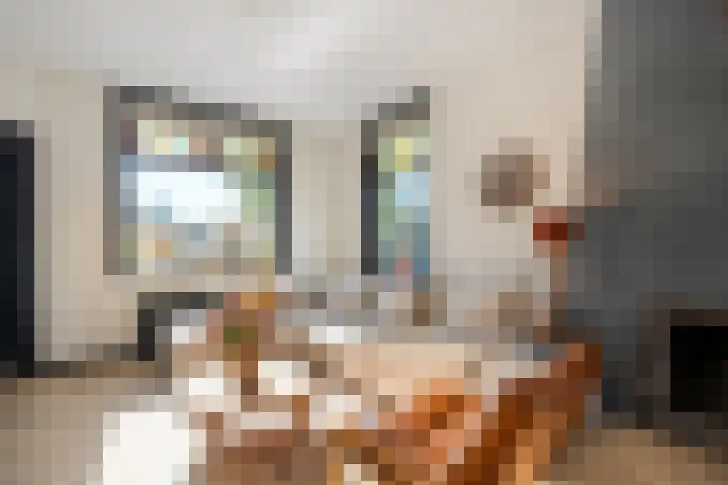 Rozenstraat 19 Almelo thumbnail 11