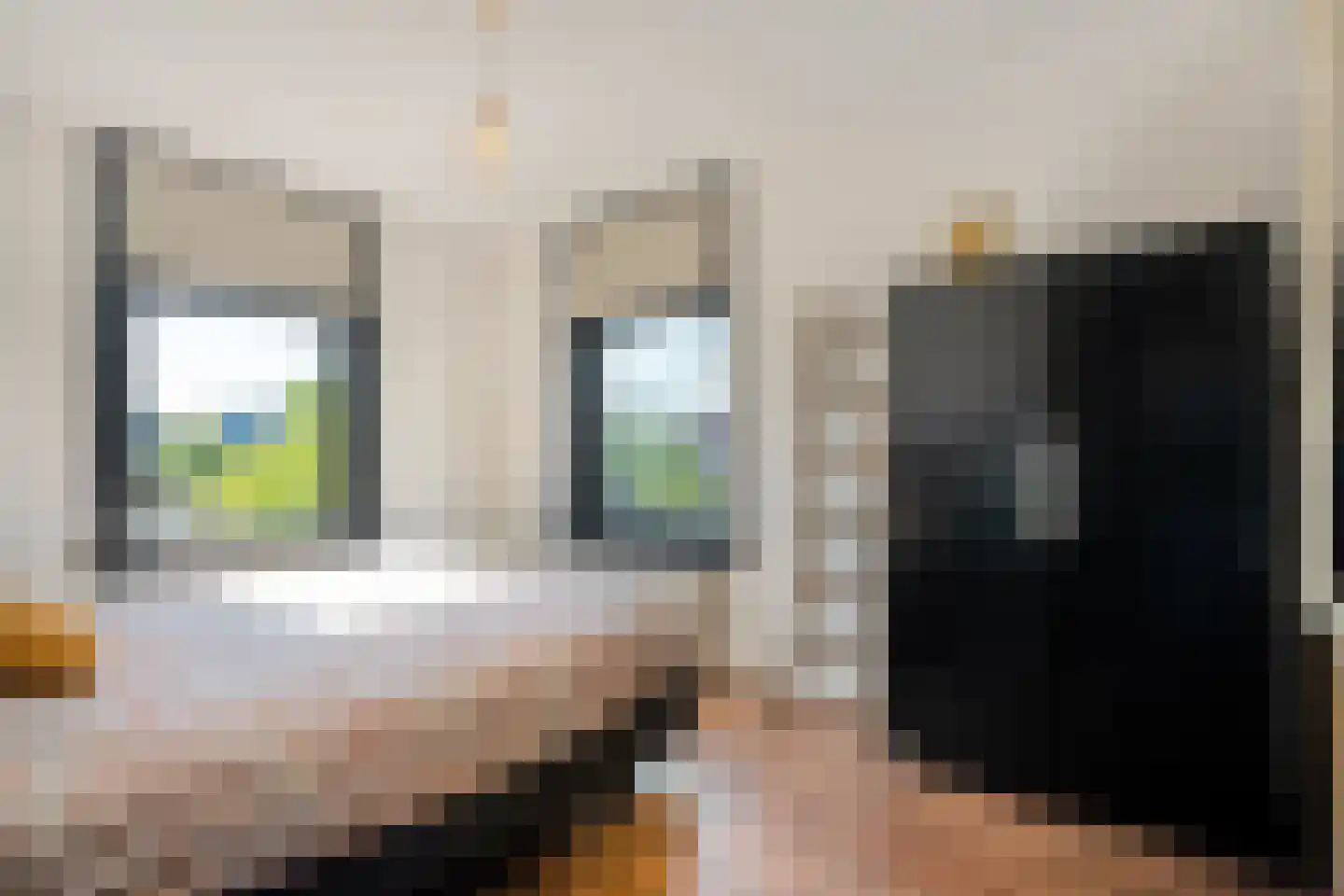 Rozenstraat 19 Almelo thumbnail 22