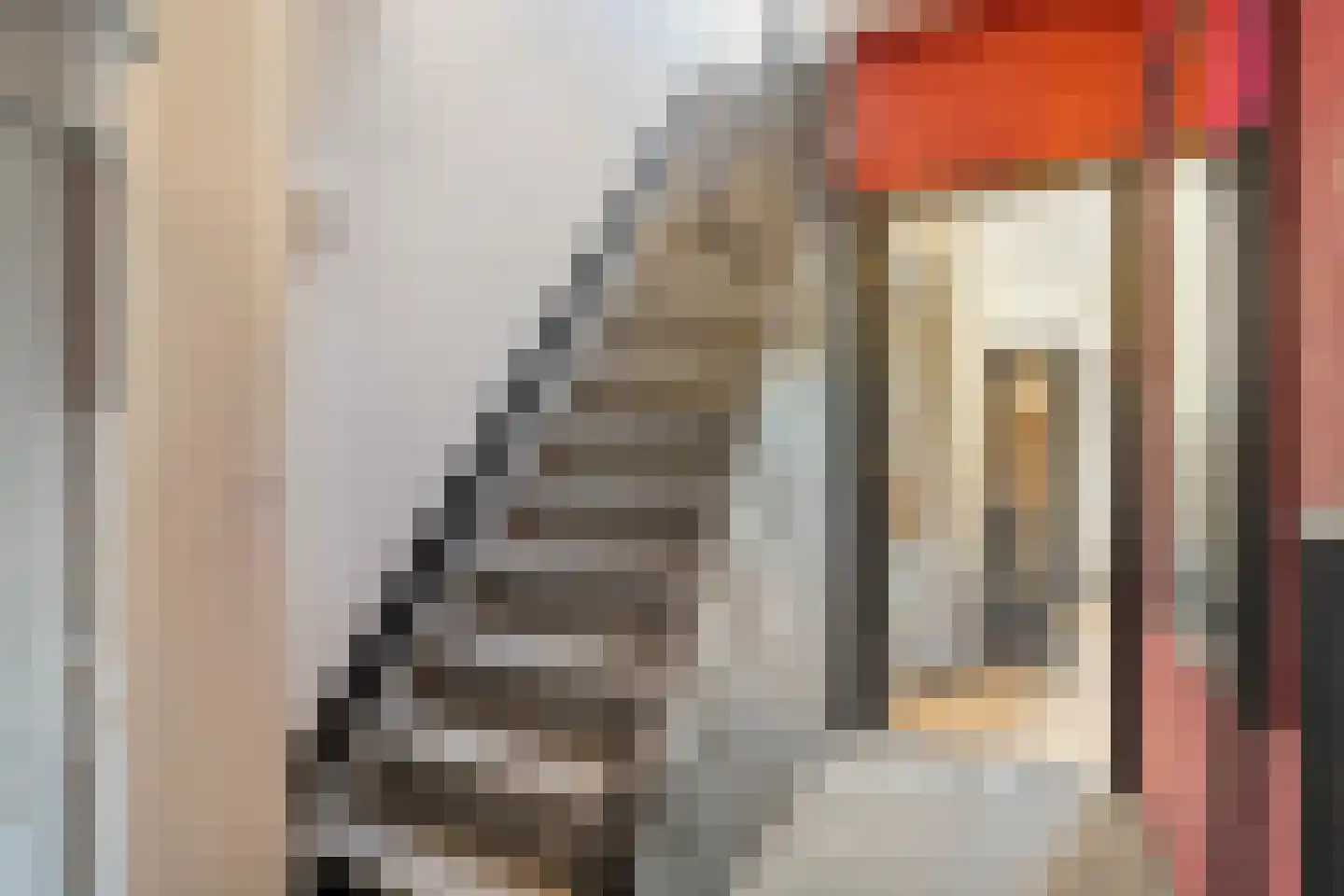 Rozenstraat 19 Almelo thumbnail 8