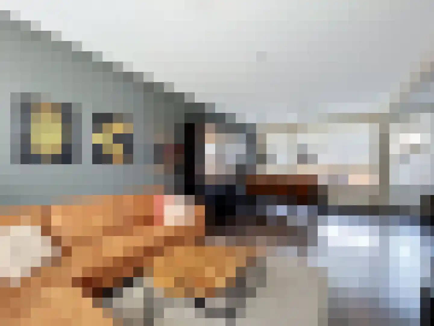 Rozenstraat 19 Breskens thumbnail 6