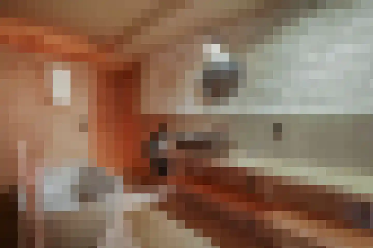 Rozenstraat 198 Amsterdam thumbnail 15