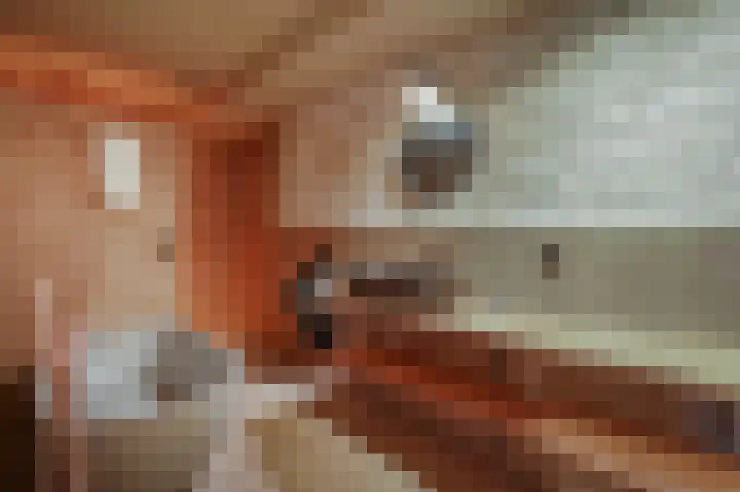 Rozenstraat 198 Amsterdam thumbnail 18
