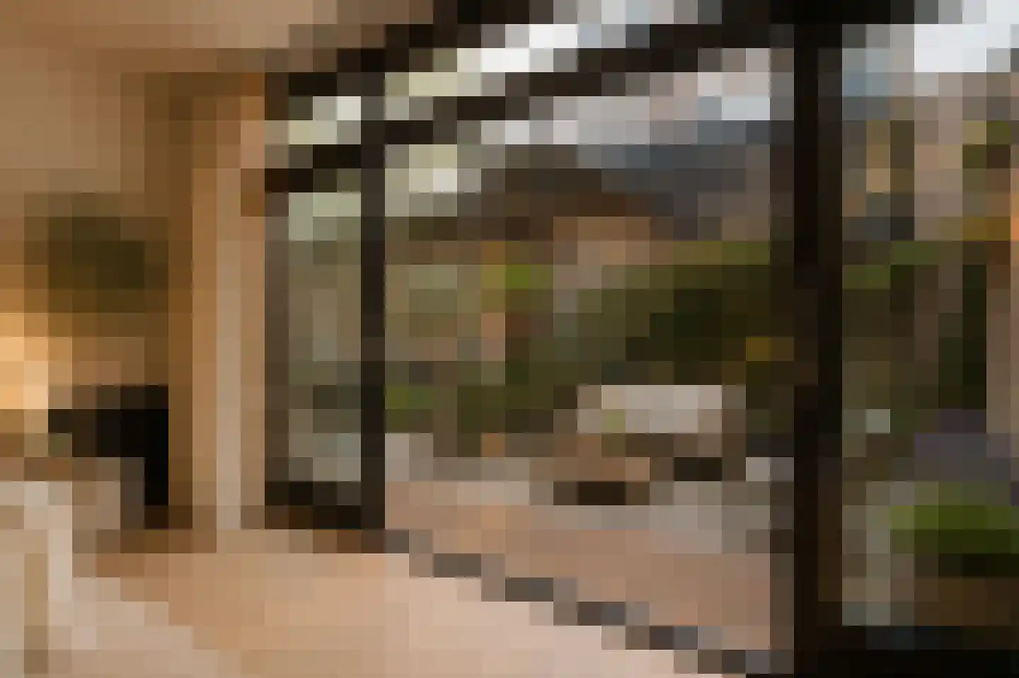 Rozenstraat 198 Amsterdam thumbnail 5