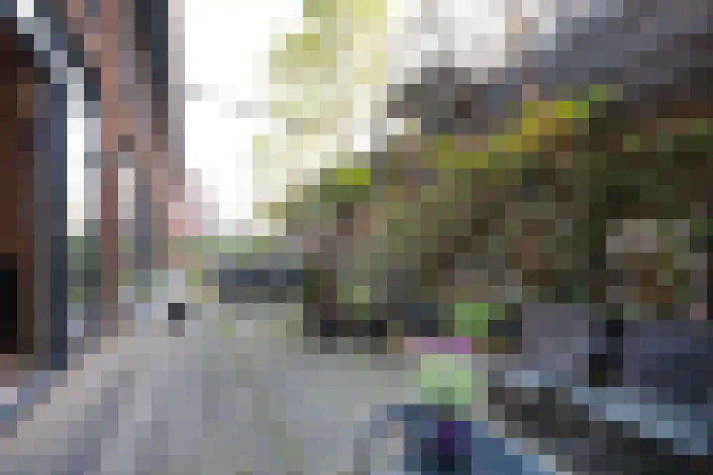 Rozenstraat 198 Amsterdam thumbnail 7