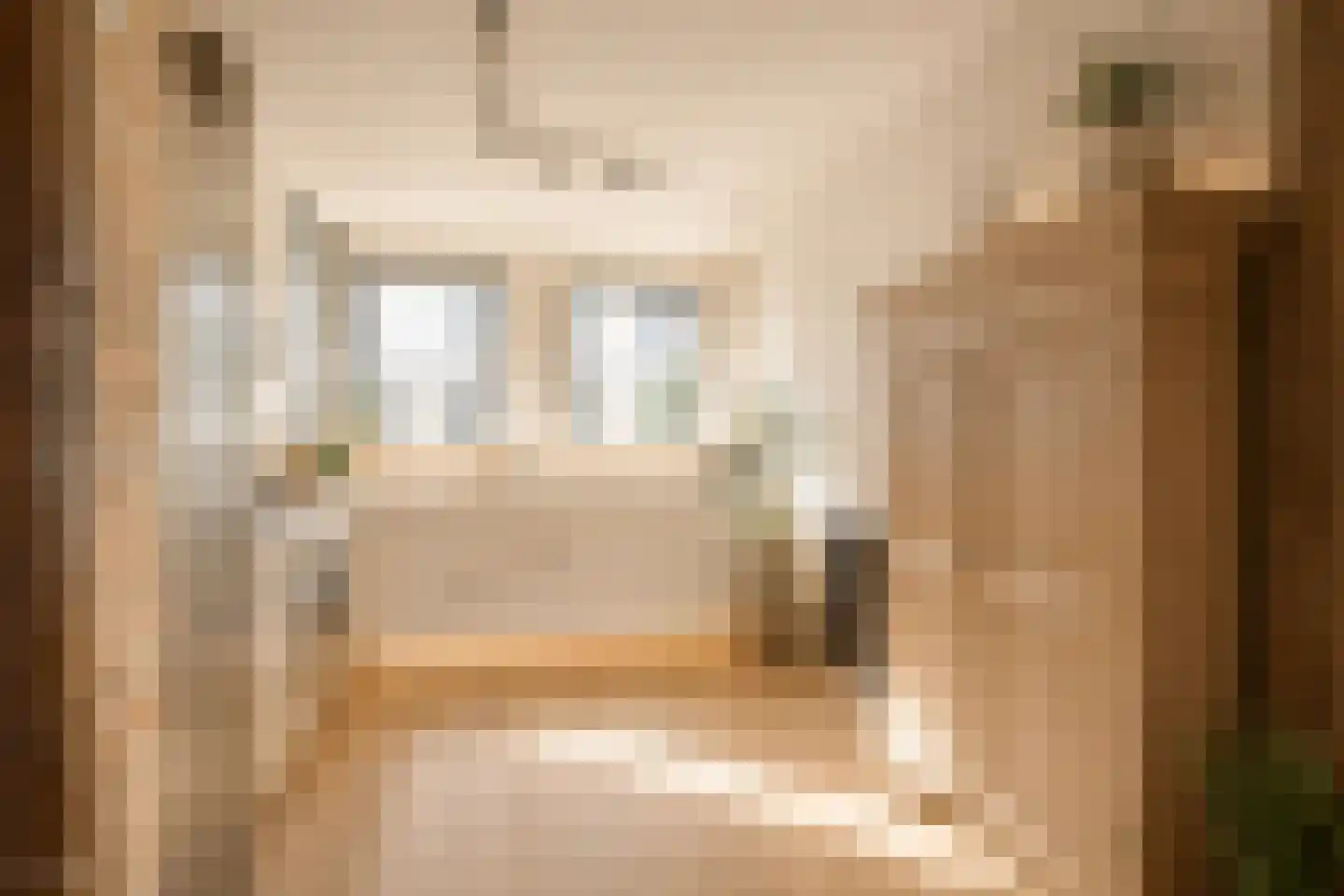 Rozenstraat 198 Amsterdam thumbnail 8