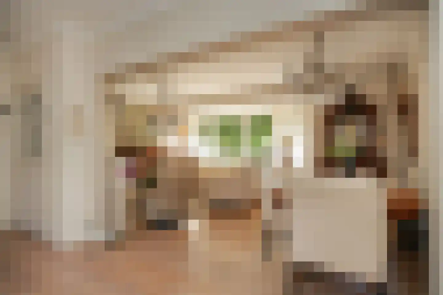 Rozenstraat 2 Beneden-Leeuwen thumbnail 11