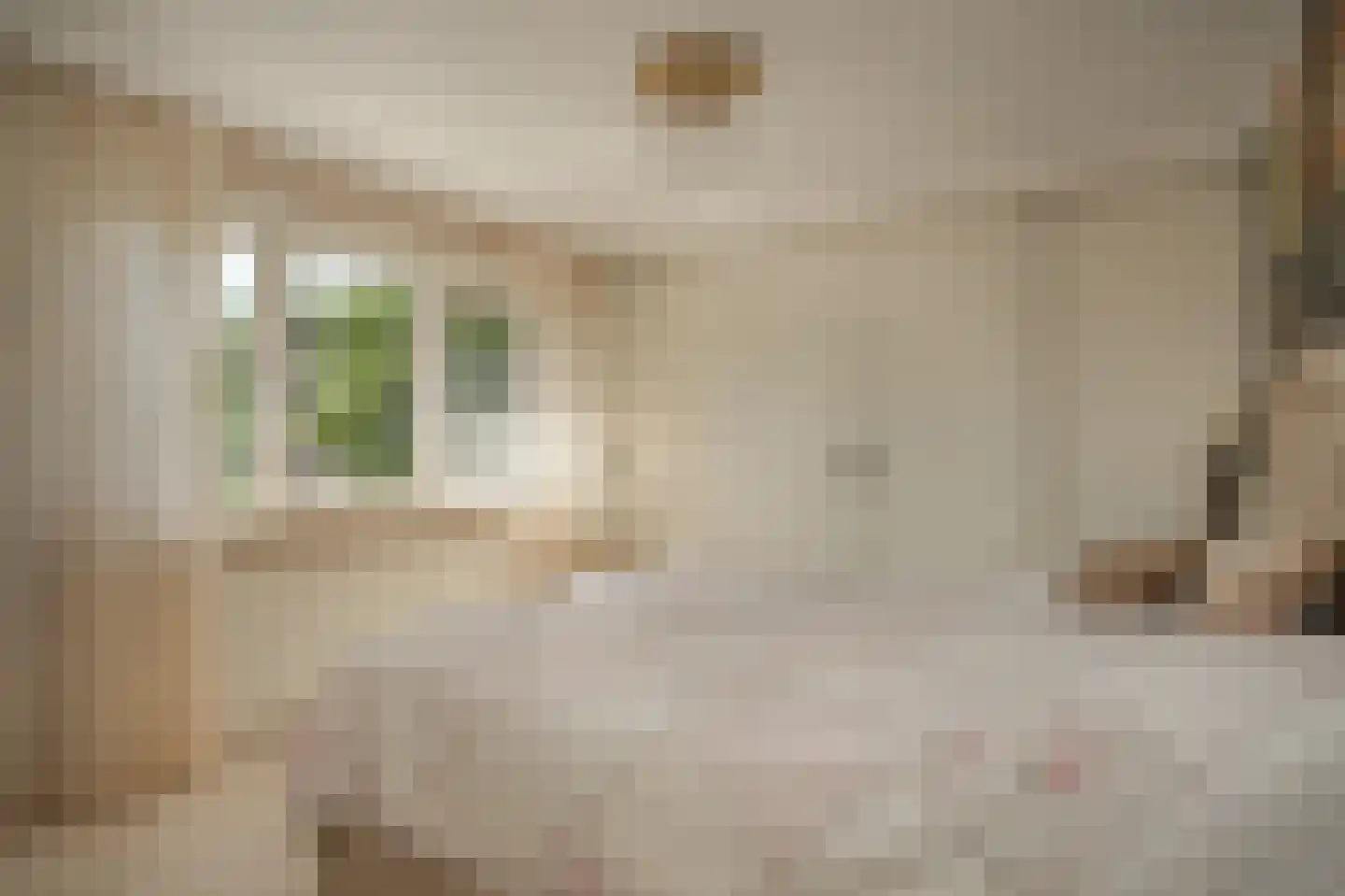 Rozenstraat 2 Beneden-Leeuwen thumbnail 22