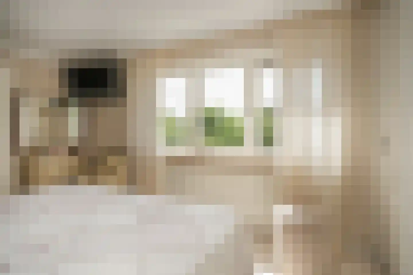 Rozenstraat 2 Beneden-Leeuwen thumbnail 23