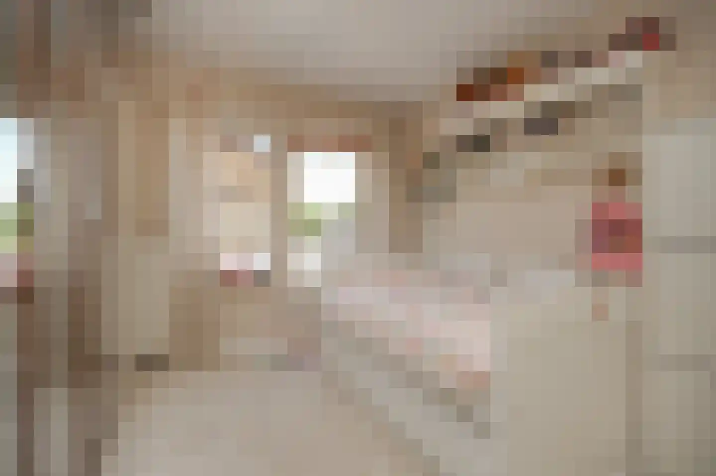 Rozenstraat 2 Beneden-Leeuwen thumbnail 27