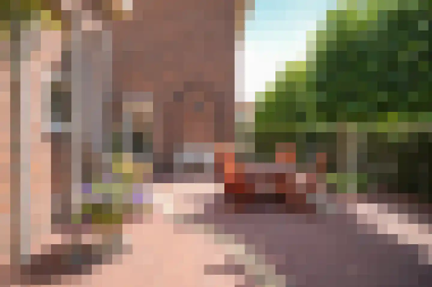 Rozenstraat 2 Beneden-Leeuwen thumbnail 30