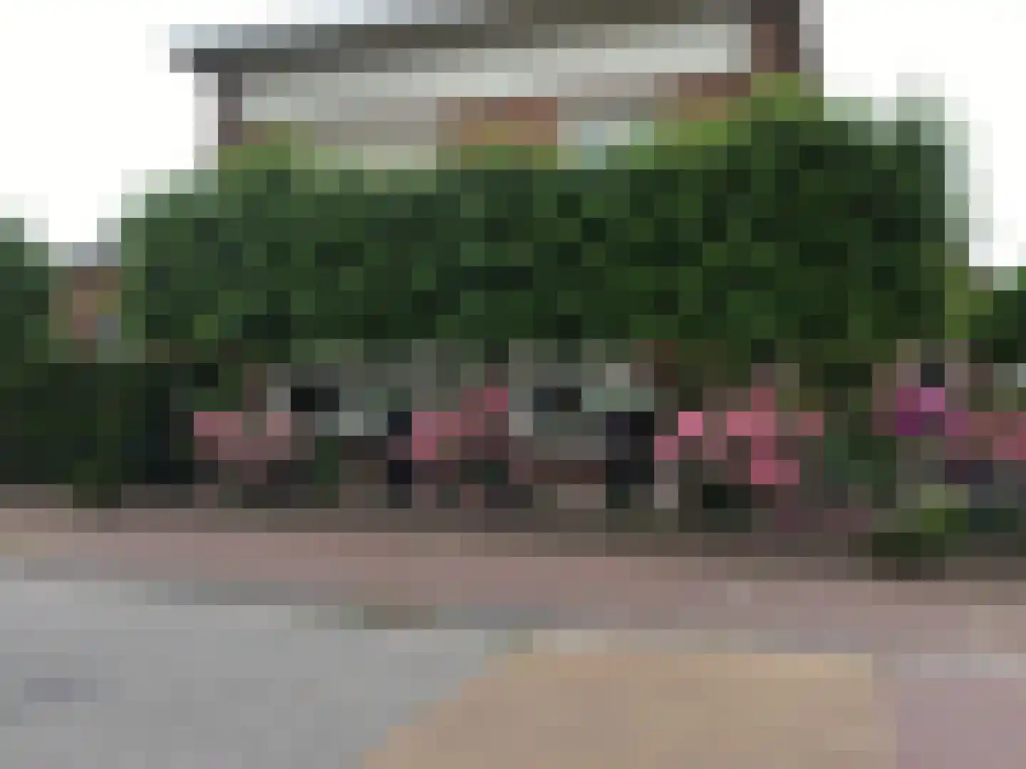 Rozenstraat 2 Beneden-Leeuwen thumbnail 32