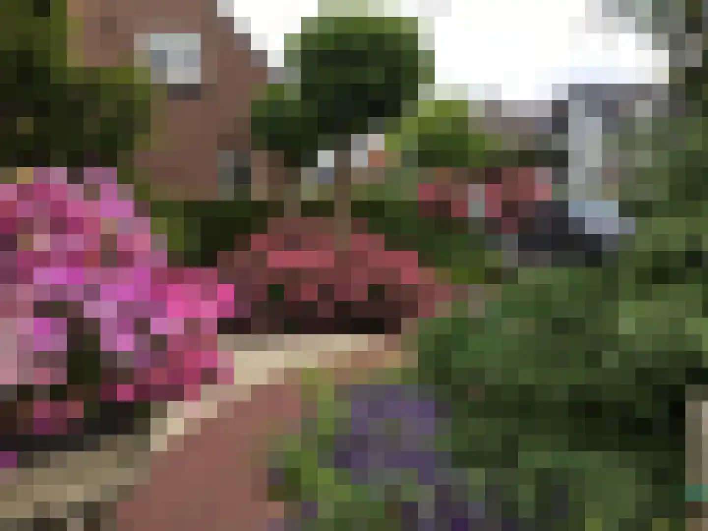 Rozenstraat 2 Beneden-Leeuwen thumbnail 33
