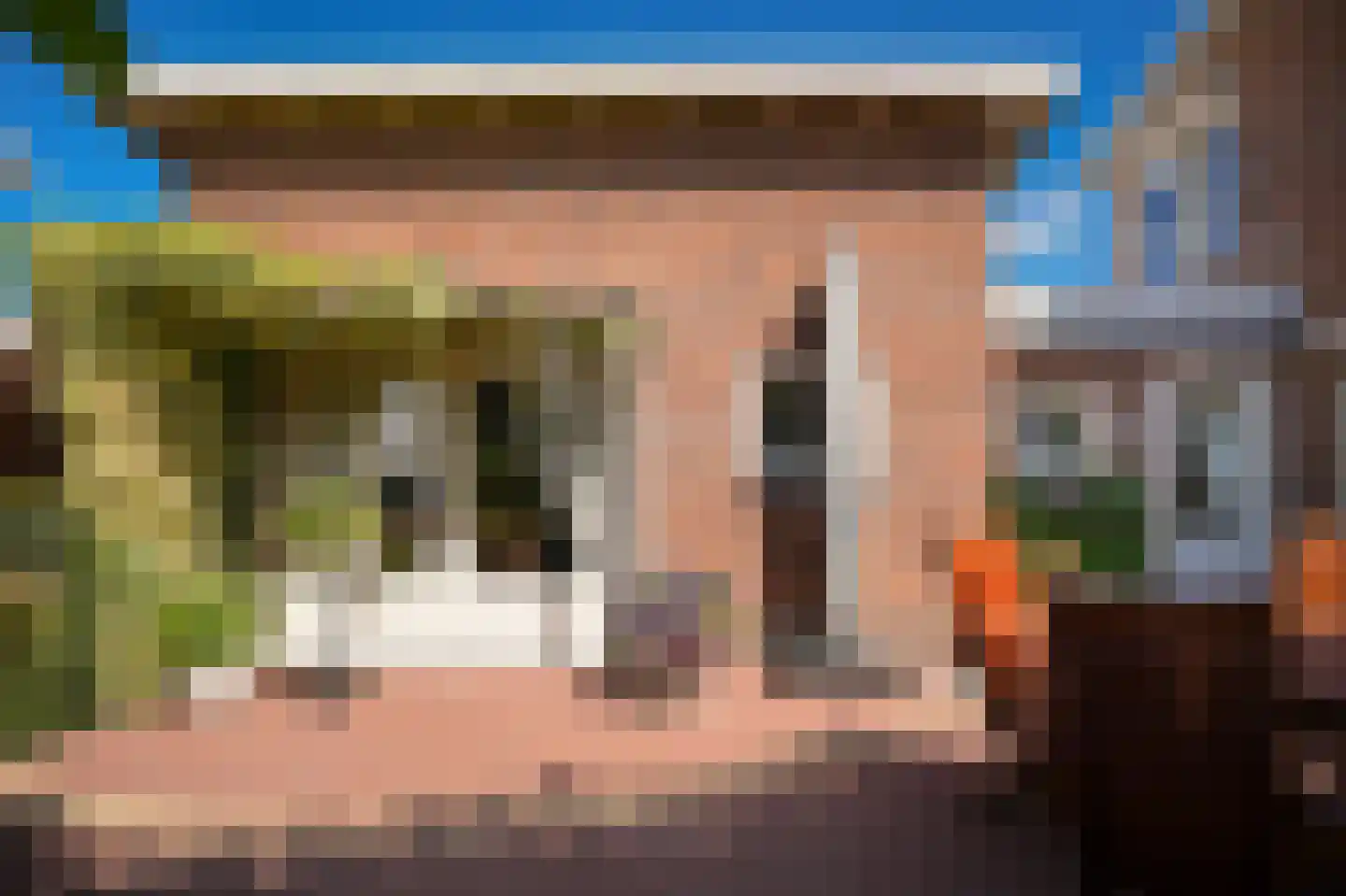 Rozenstraat 2 Beneden-Leeuwen thumbnail 35