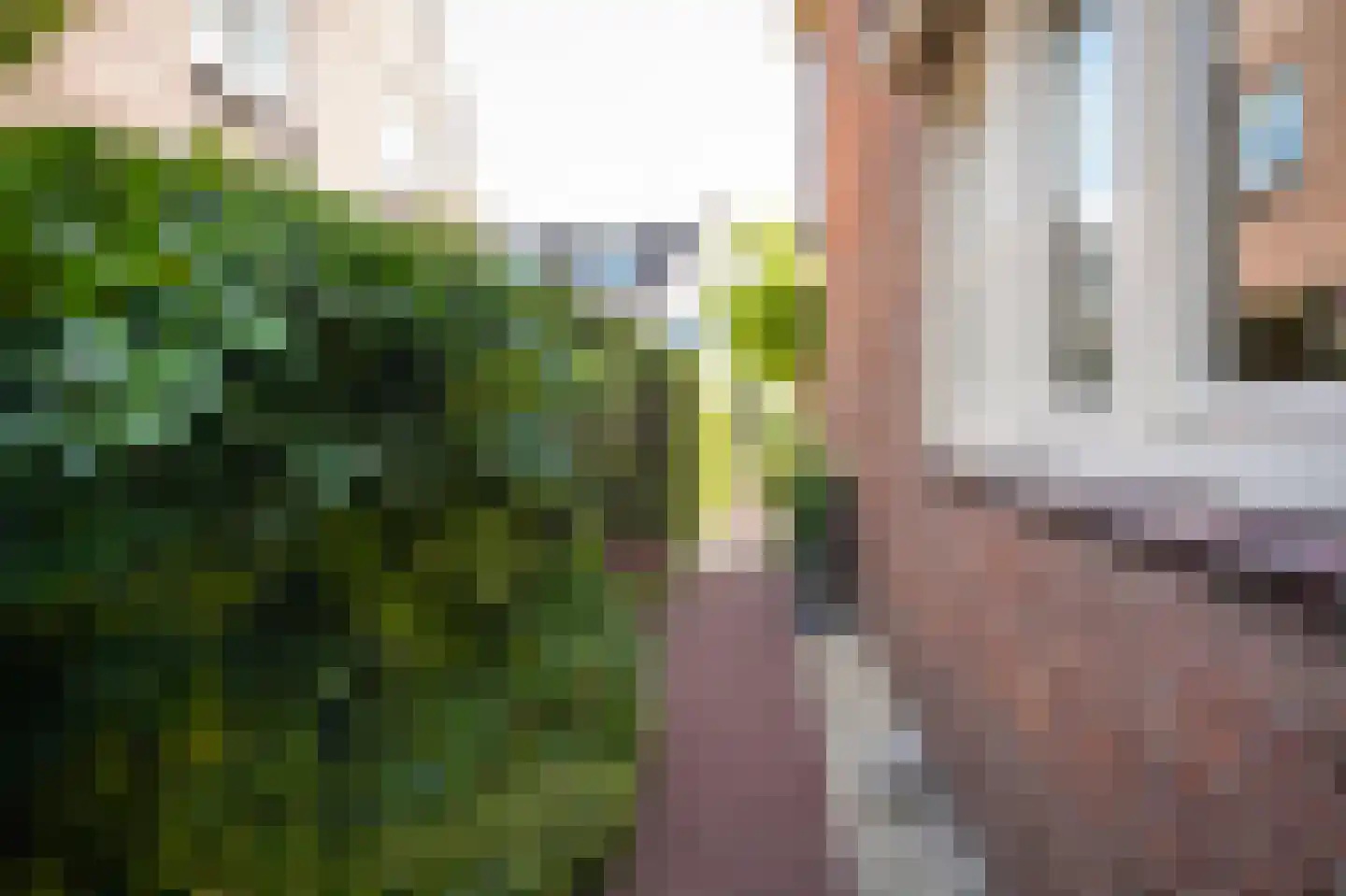 Rozenstraat 2 Beneden-Leeuwen thumbnail 36