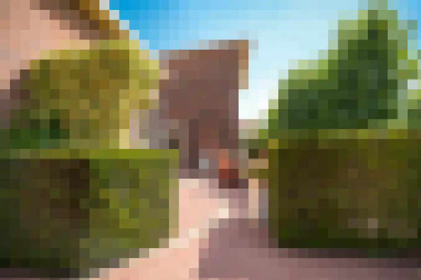 Rozenstraat 2 Beneden-Leeuwen thumbnail 40