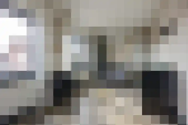 Rozenstraat 2 C St. Willebrord thumbnail 22