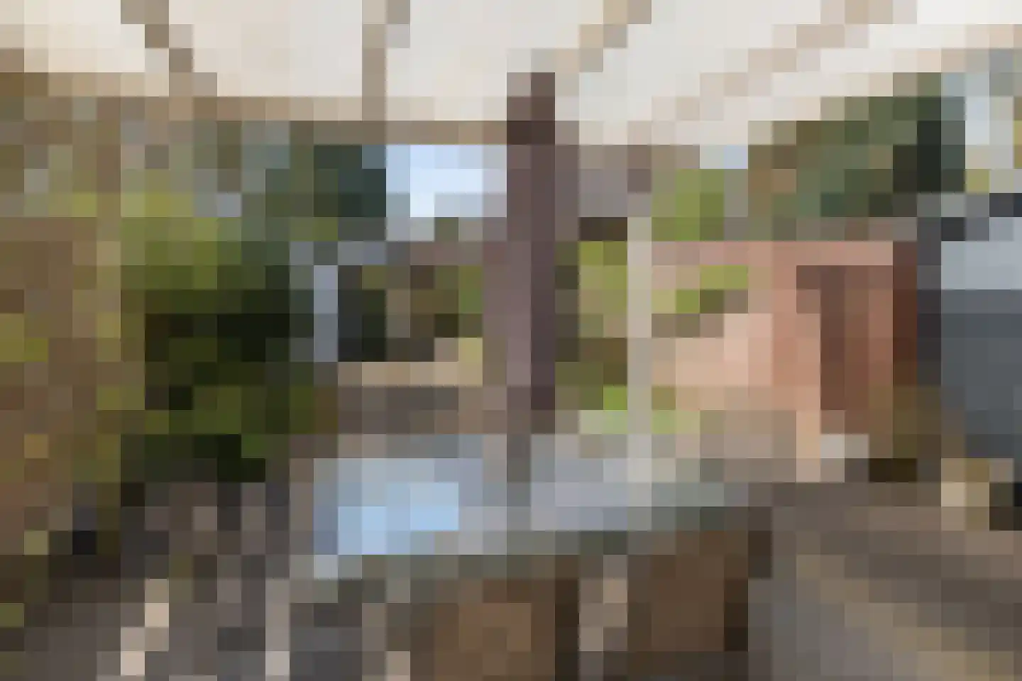 Rozenstraat 2 Driebergen-Rijsenburg thumbnail 29