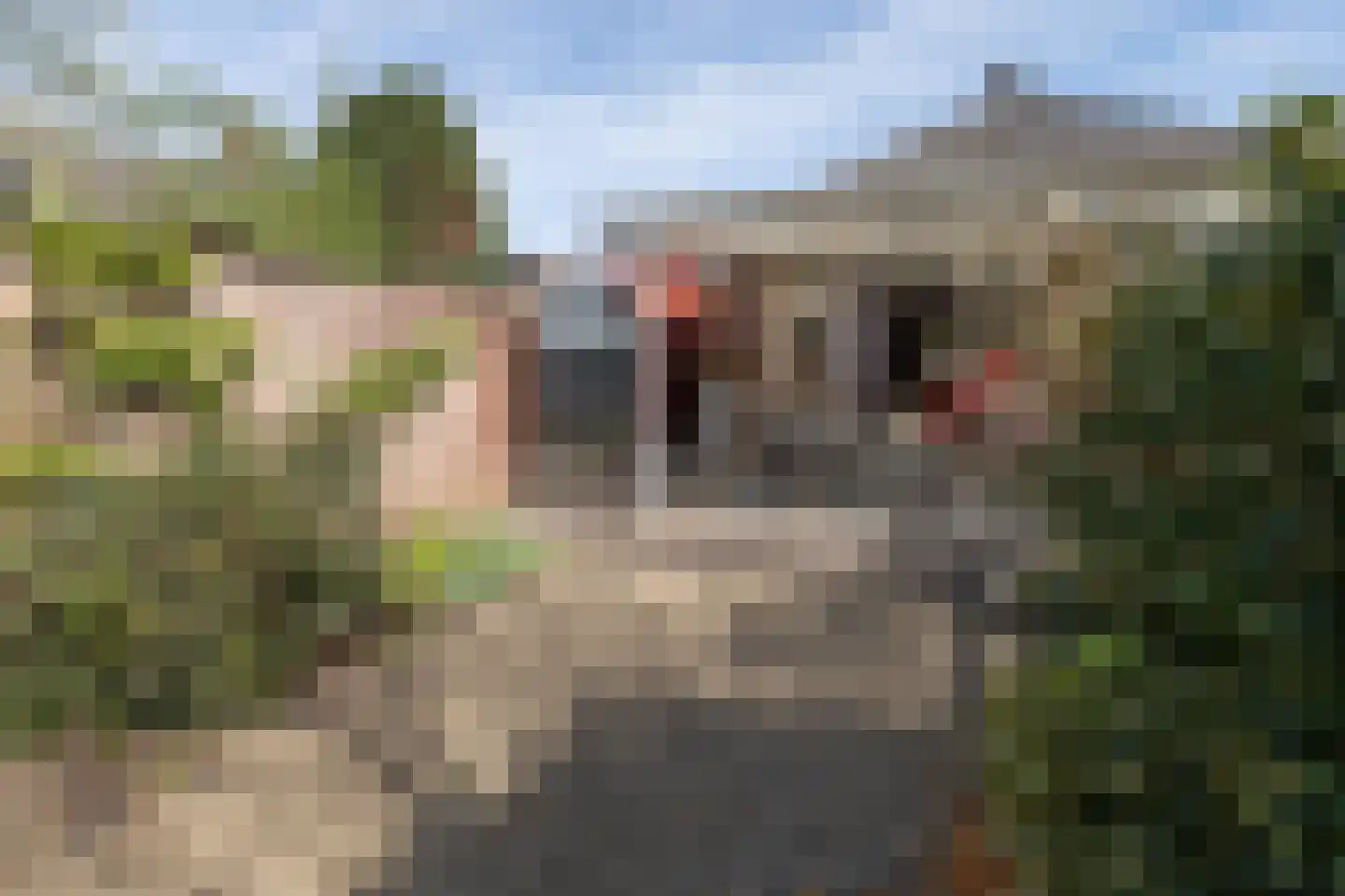 Rozenstraat 2 Driebergen-Rijsenburg thumbnail 38