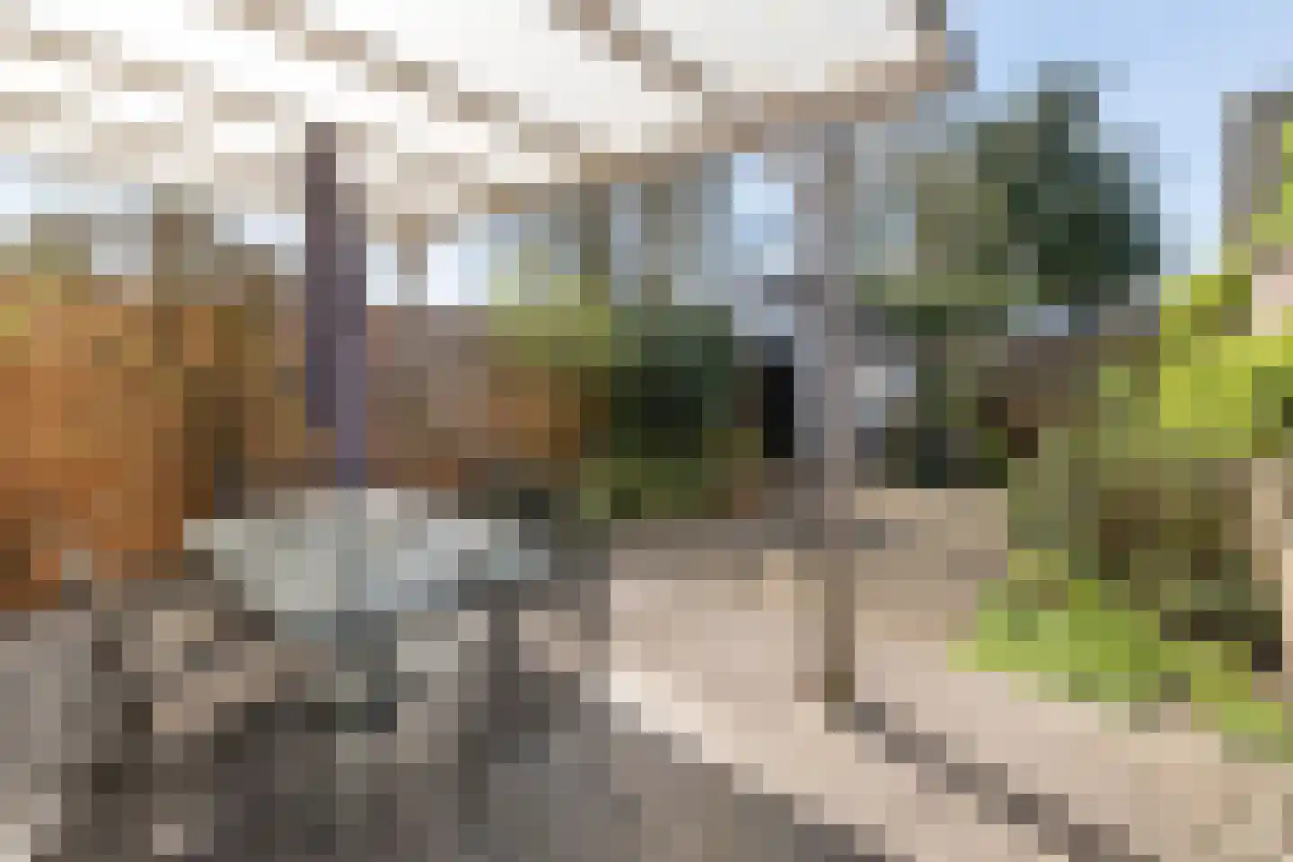 Rozenstraat 2 Driebergen-Rijsenburg thumbnail 39