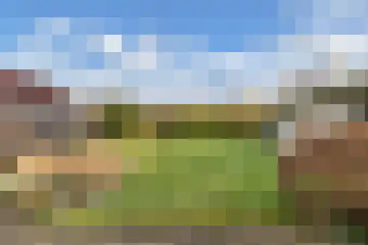 Rozenstraat 2 Luttelgeest thumbnail 33