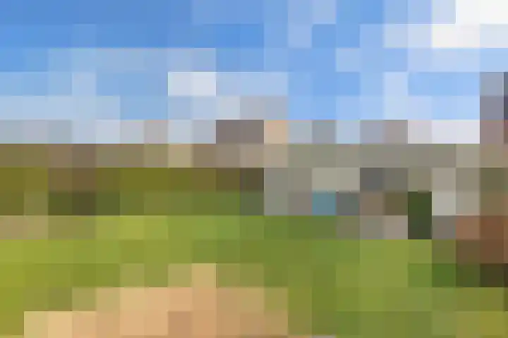 Rozenstraat 2 Luttelgeest thumbnail 34