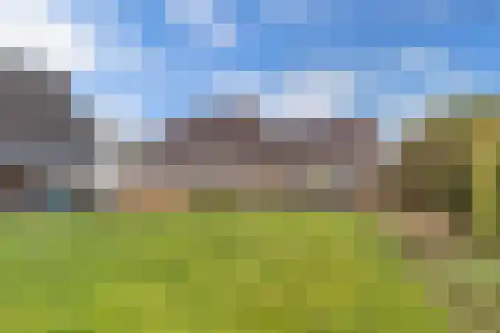 Rozenstraat 2 Luttelgeest thumbnail 35