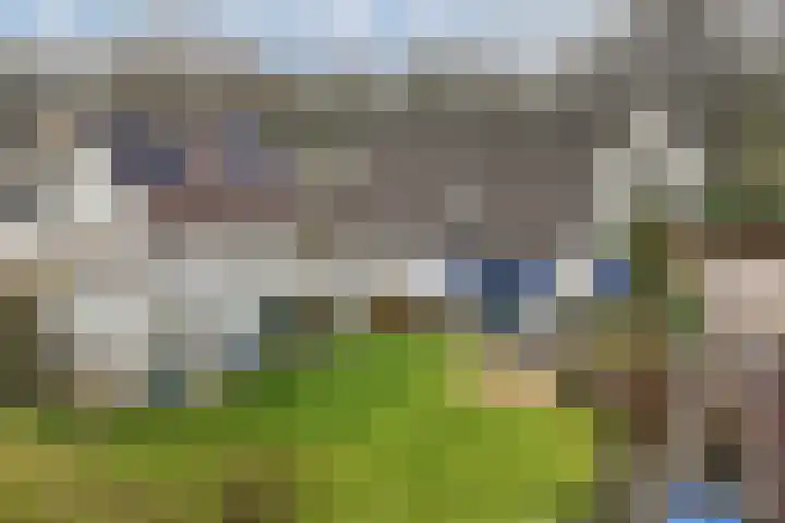 Rozenstraat 2 Luttelgeest thumbnail 38