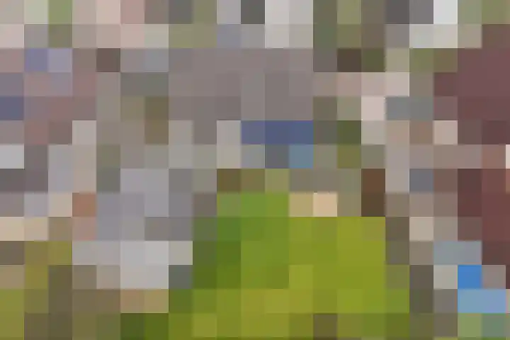 Rozenstraat 2 Luttelgeest thumbnail 39