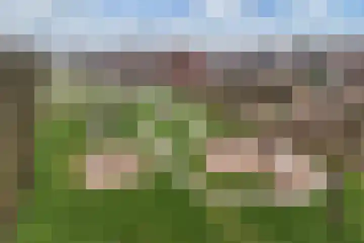 Rozenstraat 2 Luttelgeest thumbnail 40