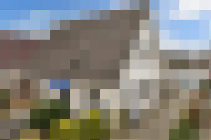 Rozenstraat 2 Luttelgeest thumbnail 6