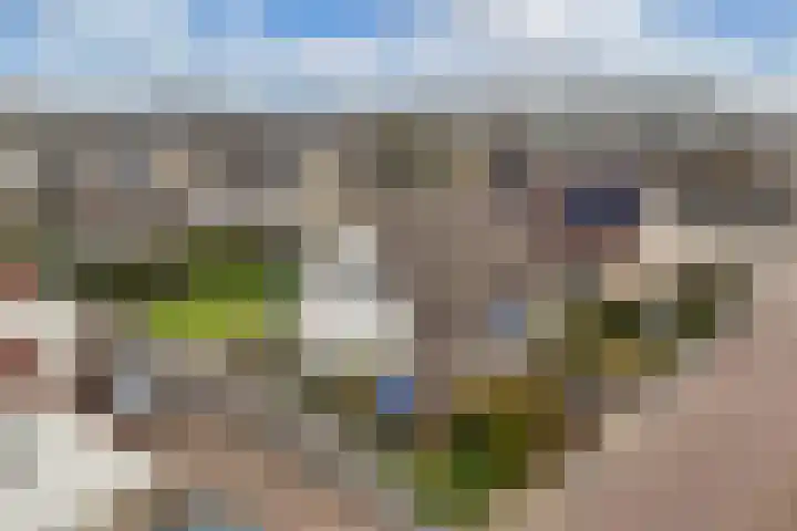 Rozenstraat 2 Luttelgeest thumbnail 9