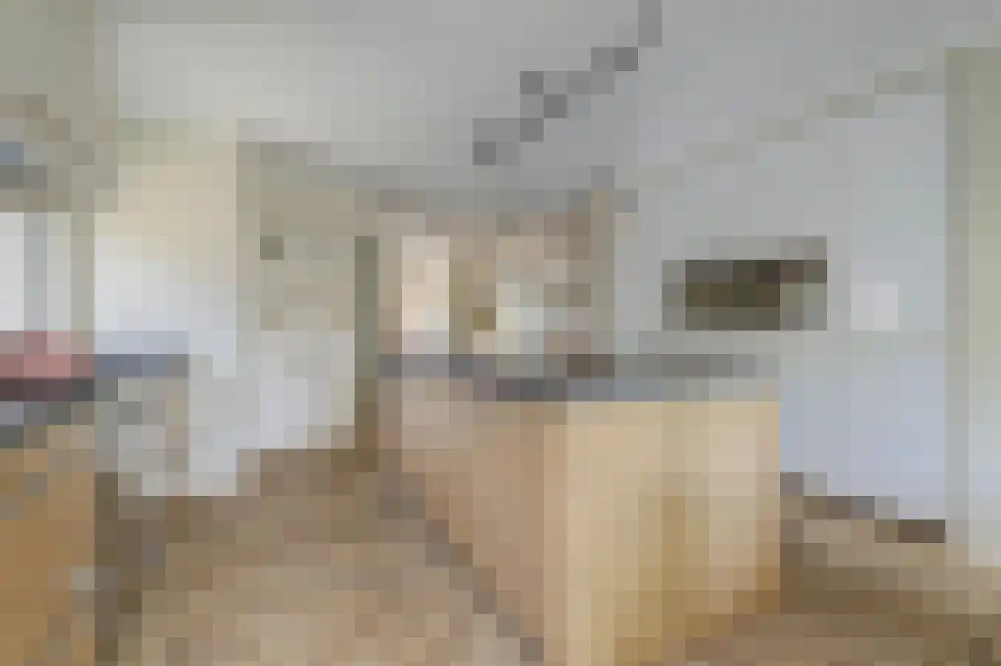Rozenstraat 2 Tiel thumbnail 11