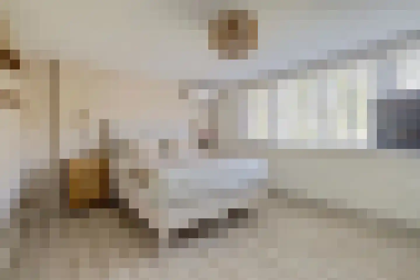 Rozenstraat 2 Tiel thumbnail 20