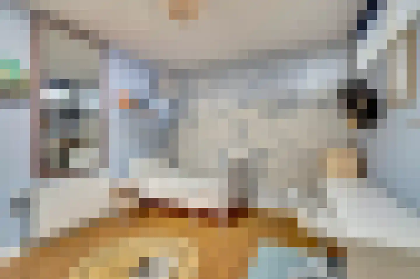 Rozenstraat 2 Tiel thumbnail 20