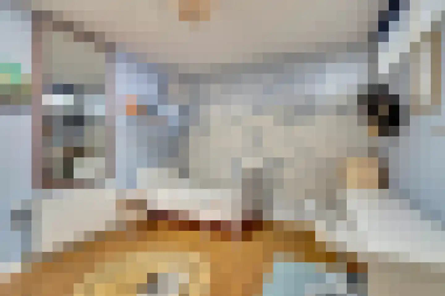 Rozenstraat 2 Tiel thumbnail 23