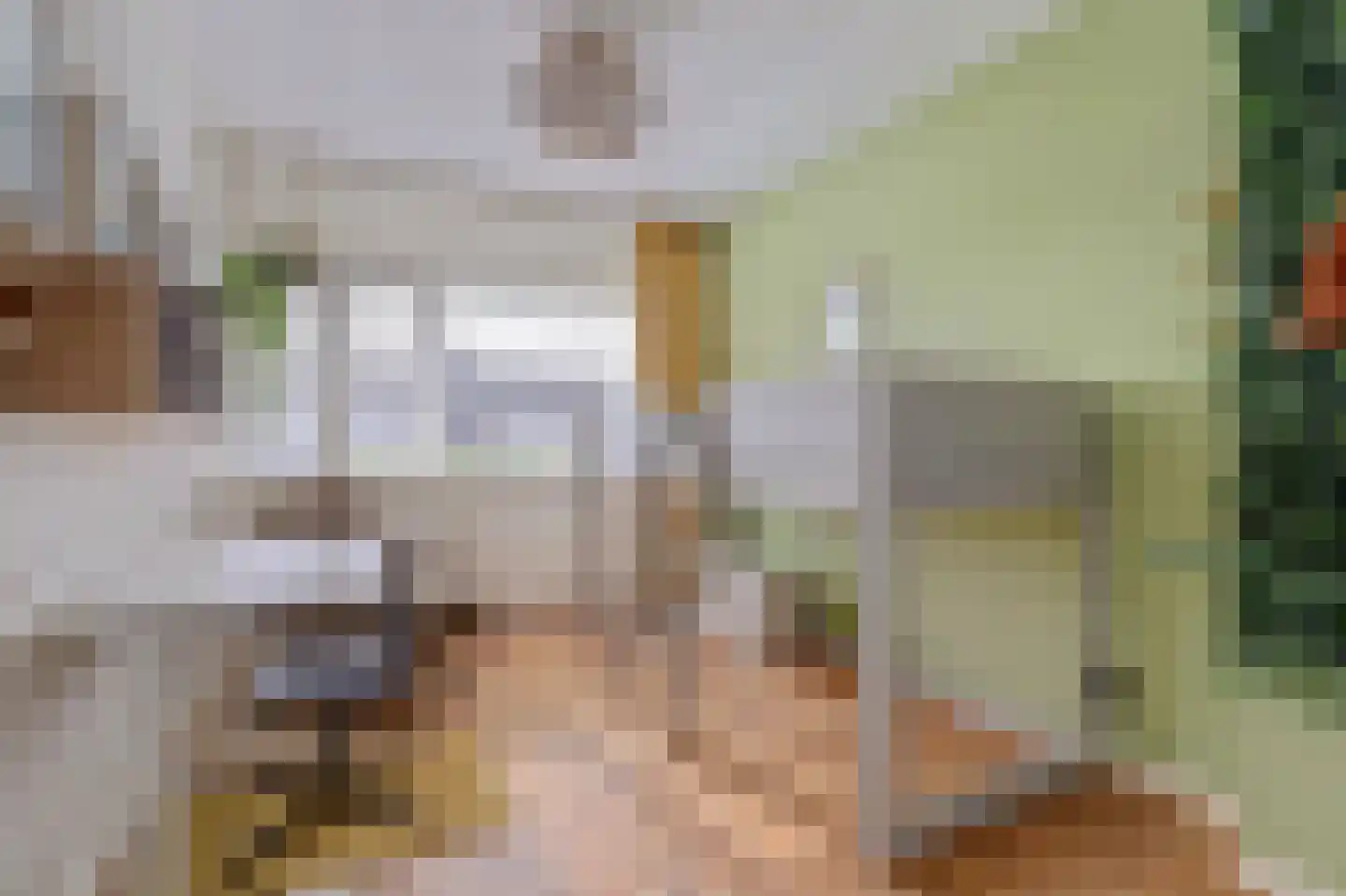Rozenstraat 2 Tiel thumbnail 25
