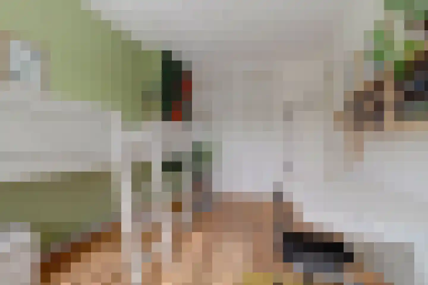 Rozenstraat 2 Tiel thumbnail 26