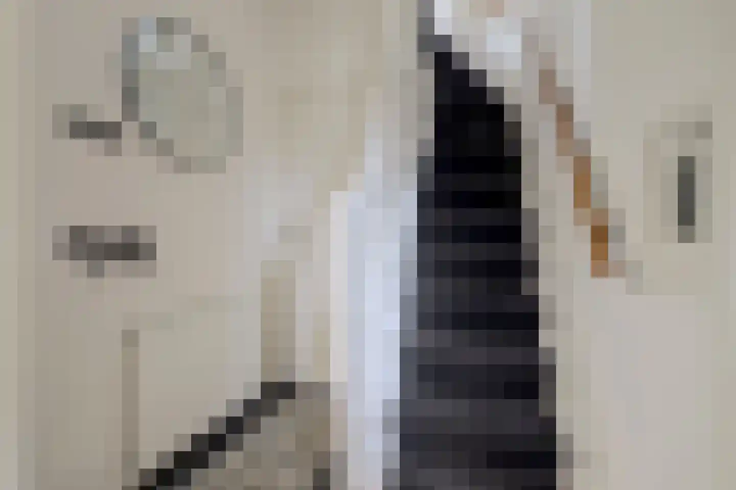 Rozenstraat 2 Tiel thumbnail 4