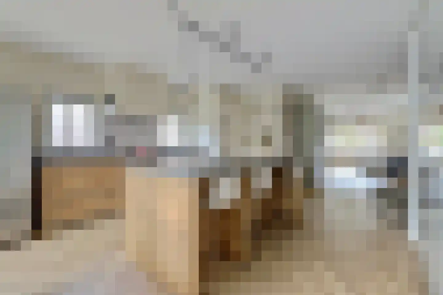 Rozenstraat 2 Tiel thumbnail 9