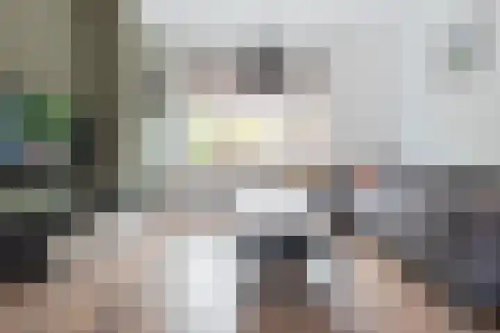 Rozenstraat 20 Koog aan de Zaan thumbnail 5