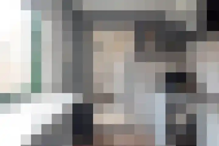 Rozenstraat 20 Koog aan de Zaan thumbnail 8