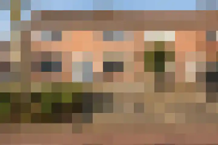 Rozenstraat 20 Meppel thumbnail 32