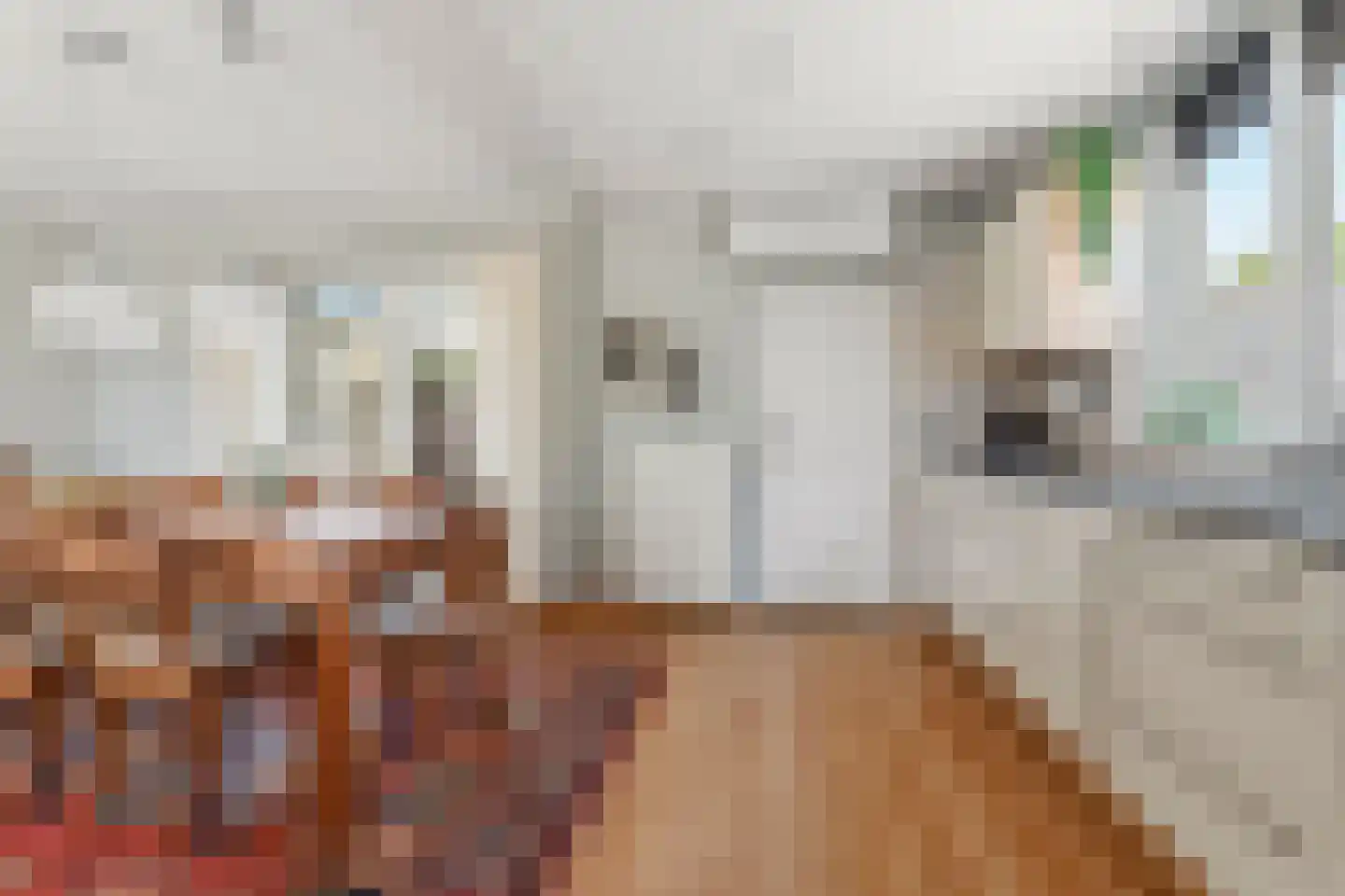 Rozenstraat 20 Siebengewald thumbnail 11